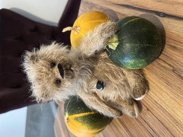 Collectible handmade teddy Bears Pumpkin by julia perchits