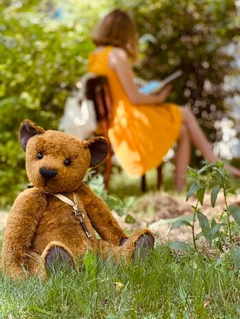 Handmade teddy bear in nature 